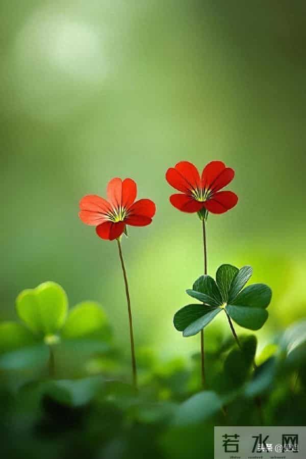 恭喜你！此局已破，12月你的福气要来了