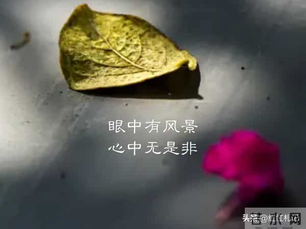 既然无缘，何须誓言。