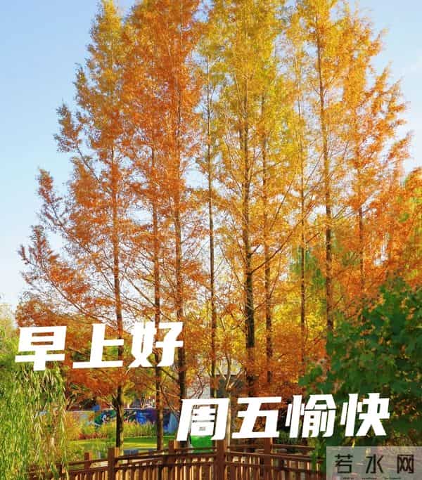 周五早上好 早上好温馨问候祝福语 早安精美图片 周五愉快