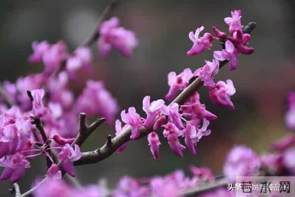 从因果定律告诉你,不要去可怜任何人,因为他们不值得