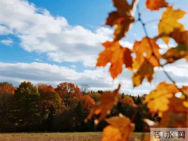 快接住了!老天爷都护着心善的人,你家往后干啥都顺!好事天天来