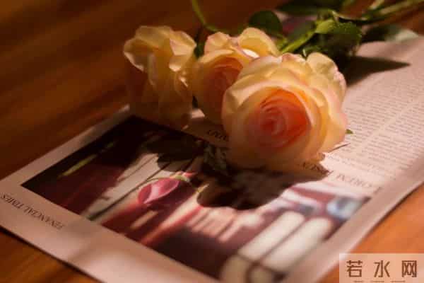 人活到通透的三个觉醒：当下即圆满，孤独即清欢，活着即顶配。