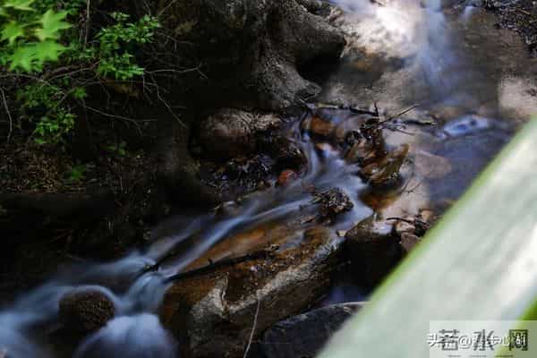 过了60岁，就别胡思乱想，更别焦虑了，做到这几点，就能安度晚年