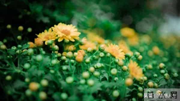 夫妻生活里，女人最渴望的从不是物质，过来人3句实话，戳中人心