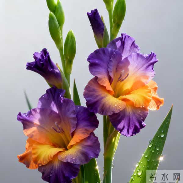 亲家初次见面，带对3样东西，体面又拉满好感（建议收藏）