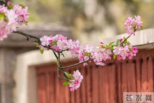 女人主动“勾”你时，不会说“我喜欢你”，却常说这5句话