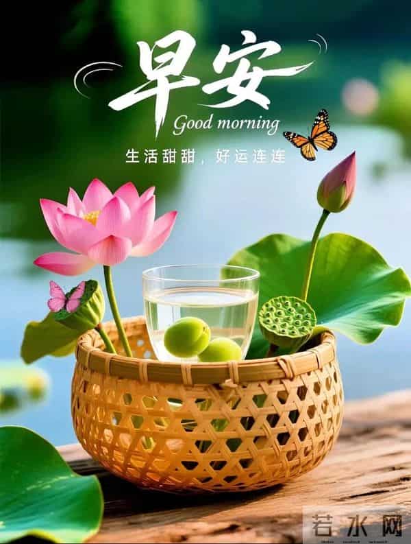 「2025.12.05」今日9张早安祝福图片问候,温馨早上好祝福语