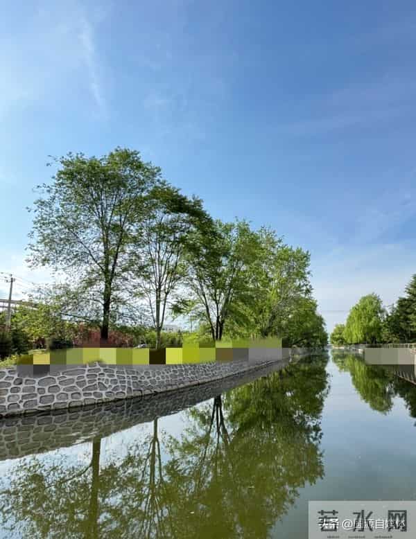 伤心女子把金手镯丢河里男子不顾寒冷捞起手镯，以为发财结果失望