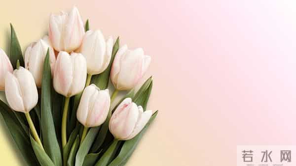 很暖很治愈的唯美句子,句句温柔,句句暖心