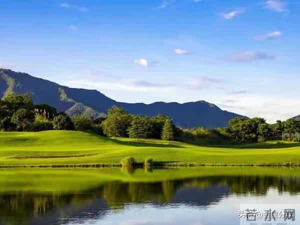 大胆地去报复每一个不尊重你的人:你被欺负,不因为弱,是因为忍