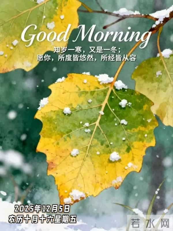 2025.12.05 今日周五 —— 早上好，祝福问候语，早安暖心美图送安康