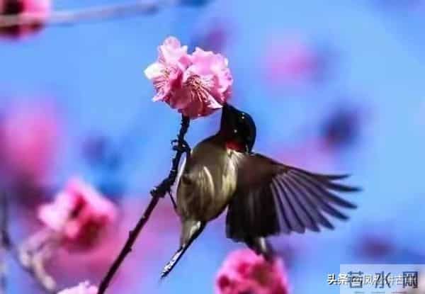 两性关系:65岁后关系再好也要警惕,这三种相处方式最伤感情!