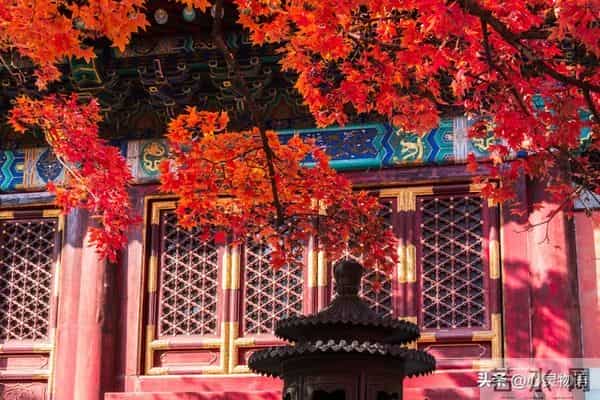 异性之间，偷偷做过这些事，就是彼此动了情