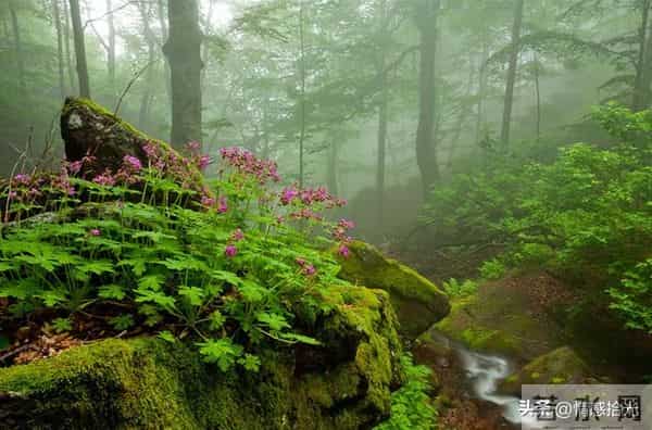 女人内心最深处，渴望男人触碰的3个地方，第2个让人意想不到！