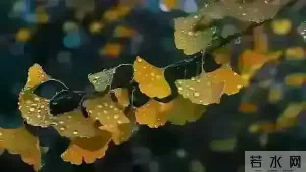 发现怪现象：越是独来独往没有朋友不合群的人，