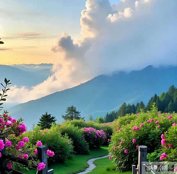 夫妻分房睡才明白:男人夜里牵挂的,从来不是妻子的陪伴