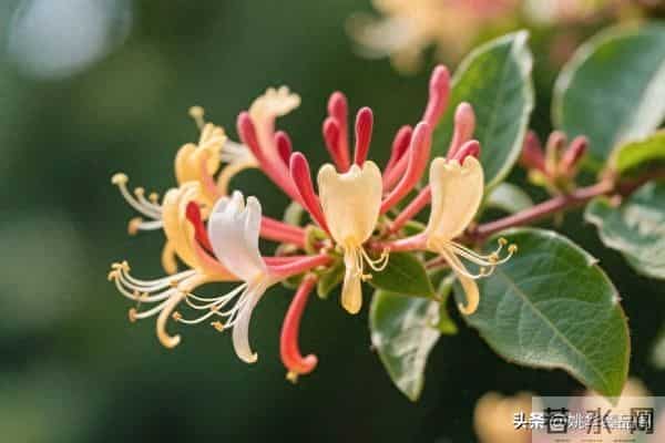 从因果定律告诉你,不要去可怜任何人,因为他们不值得