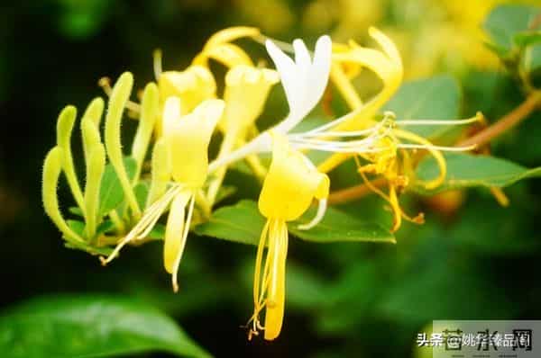 从因果定律告诉你,不要去可怜任何人,因为他们不值得