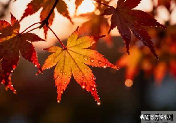 真正厉害的女人,从不问男人这几个问题,这才是真聪明