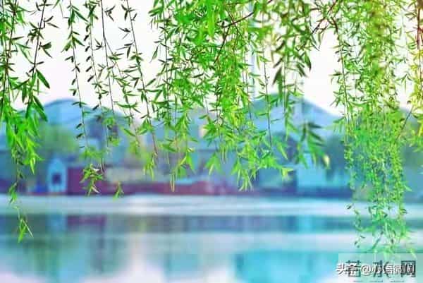 学霸可能出现最多的星座,看看你家的那位在这里吗?