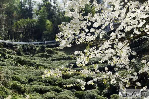 经历两次离婚,我明白了-所有夫妻关系的破裂,都始于同一个错误