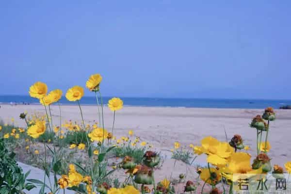 不管儿媳对你亲不亲，记住这3个理，晚年不憋屈