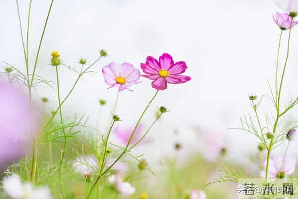 对不尊重你的人，无视远离就好