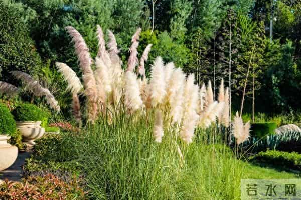 别让“蚊子”搅乱你的大象人生——认知升级，情绪自洽的生活智慧