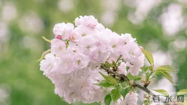 夫妻生活里，女人最渴望的从不是物质，过来人3句实话，戳中人心