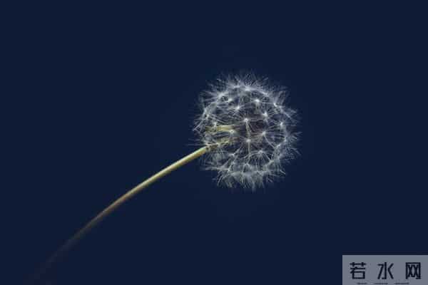 别慌!你天生带财,好运马上来!