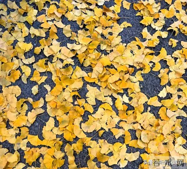 老公洗澡手机亮起：“老公好想你”，我撕碎婚纱照订了张单人机票