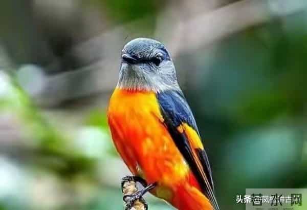 两性关系:65岁后关系再好也要警惕,这三种相处方式最伤感情!