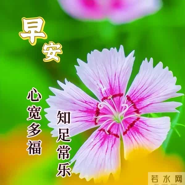 最新漂亮早上好问候图片,每天清晨激励语,愿你健康如意幸福安康