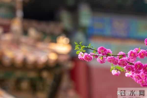 真正有福气的女人，婚姻多半不顺：她的归宿，从来不是婚姻