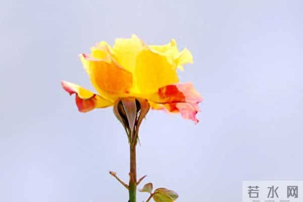 2026所有预言都指向一件事