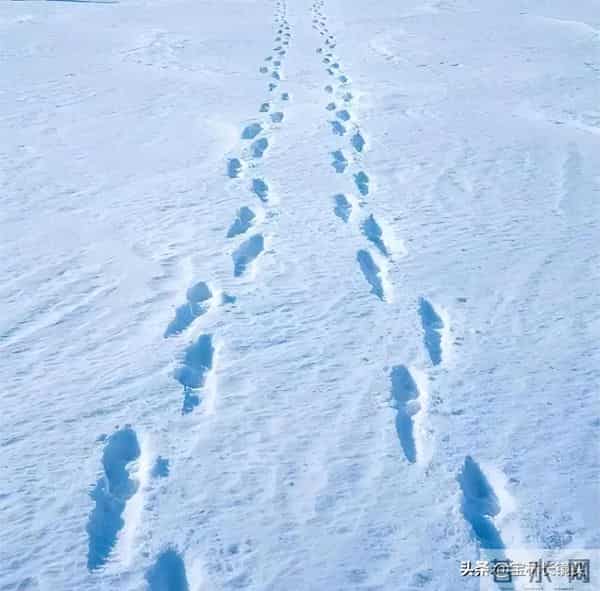 散文∥大雪有痕