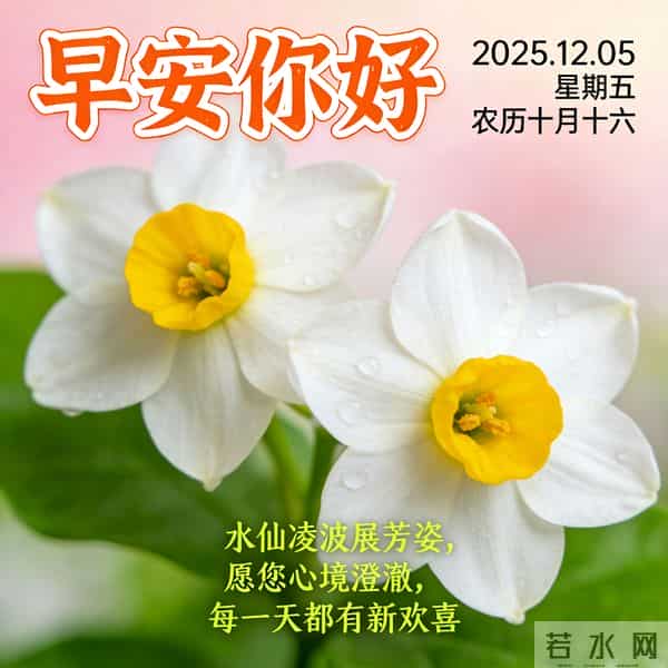 2025.12.05 早安祝福 围巾手套御寒风 亲友叮咛情意暖 早安幸福万年长