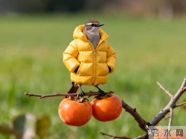 女人是真心爱你，还是只图你的钱，看她这几个方面就知道了