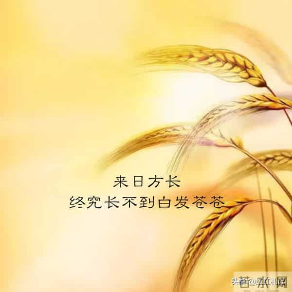 既然无缘，何须誓言。