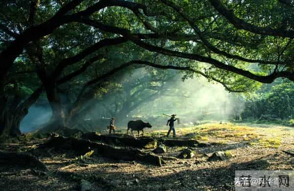 从今日起，您将霉运清零，余生皆顺