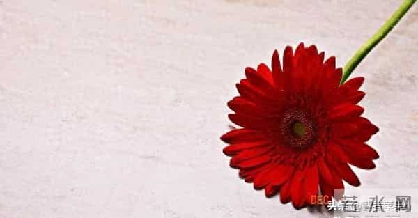 寅虎笑醒了!12月5日周五,两大贵人从天降!