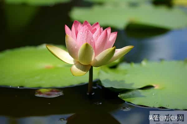 如果你处在40-55岁这个阶段，能做到以下几条，恭喜你活明白了