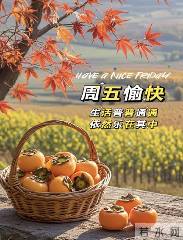 2025.11.5 冬天周五早安愉快!最新精美周五早上好温馨祝福语图片