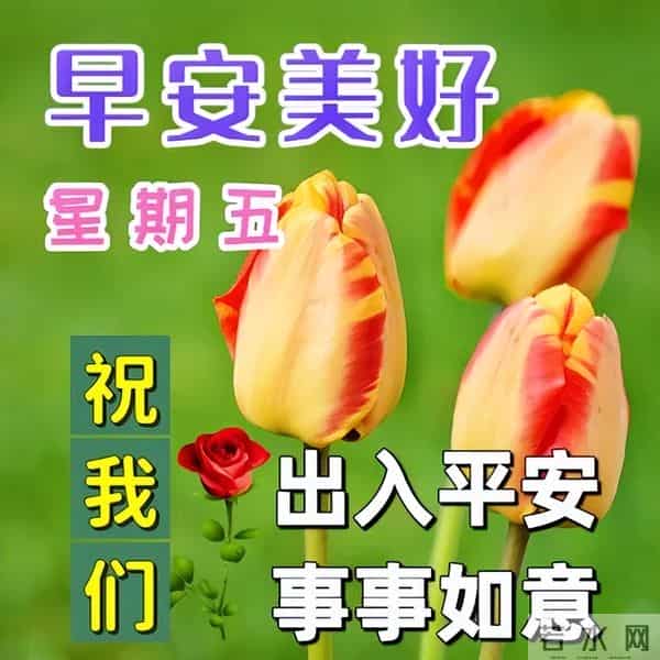 最新漂亮早上好问候图片,每天清晨激励语,愿你健康如意幸福安康
