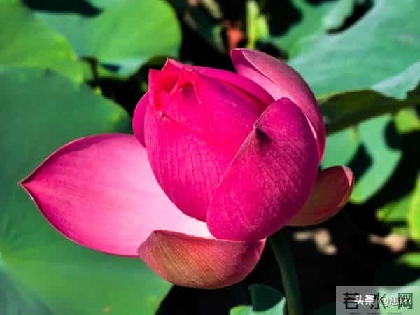 人到中年才顿悟:婚外情这破事,谁沾谁倒霉,无一例外