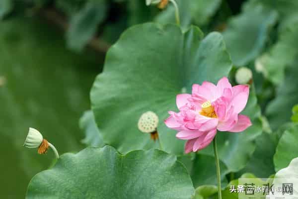 活得久的男人,没几个靠药,大多靠这三件事“想通了”