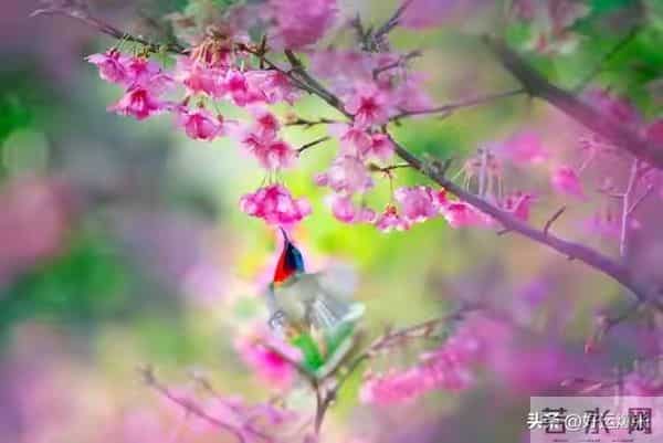 老了才活明白,最幸福的老人都有这3个“怪癖”占一个就乐吧