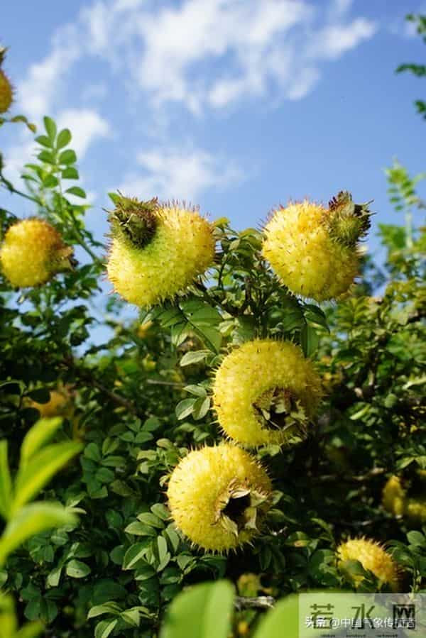 人生四贵,藏着普通人最好的活法(精辟通透)