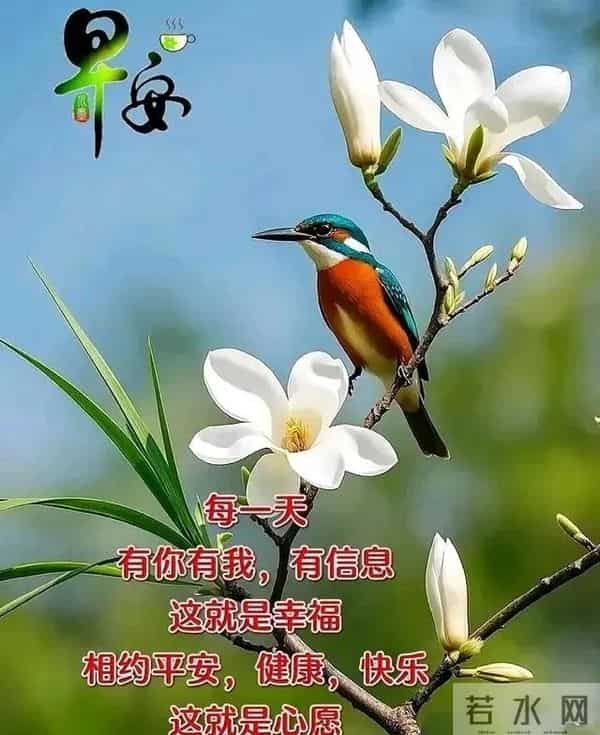 晨起纳福,愿您仓廪常满,生活丰盈;财如活水,岁岁有余。早安!