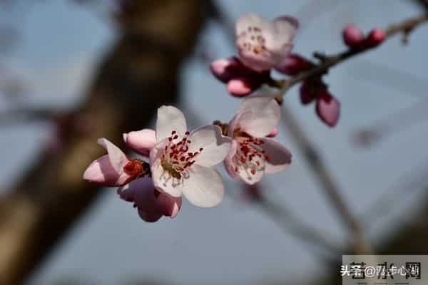 过了60岁，就别胡思乱想，更别焦虑了，做到这几点，就能安度晚年